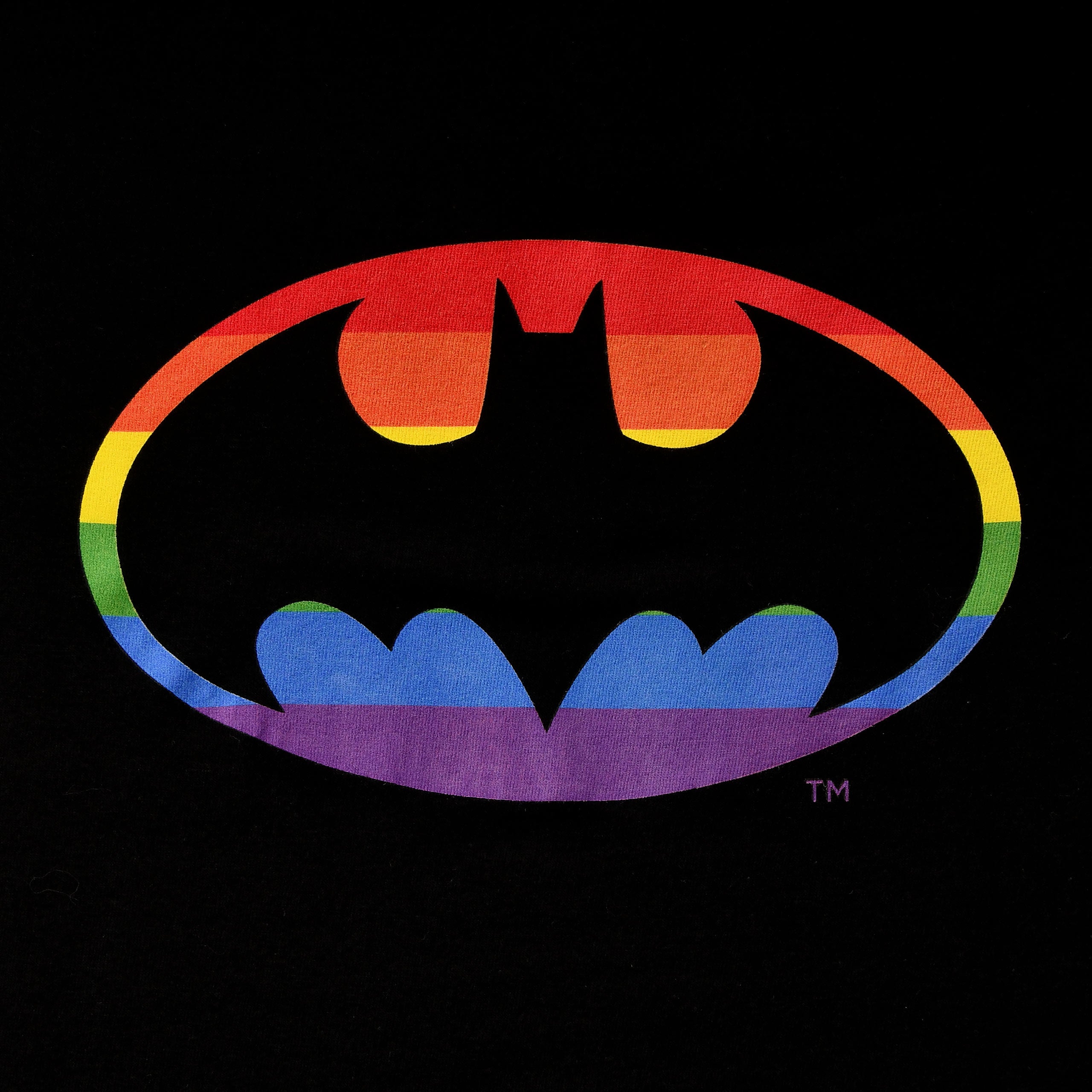 Imagen del producto Batman - Camiseta con logo de orgullo negra