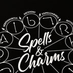 Imagen del producto Harry Potter - Hechizos y encantamientos Camiseta negra