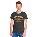 Imagen del producto Harry Potter - Camiseta Premium Gris con el Escudo de Hogwarts