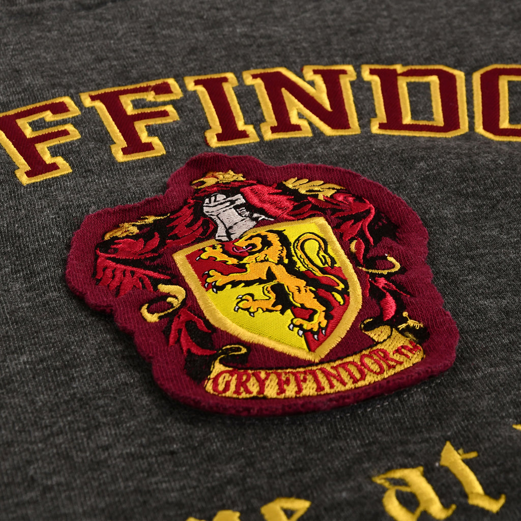 Imagen del producto Harry Potter - Escudo de Gryffindor Sudadera Premium gris