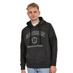 Imagen del producto Harry Potter - Sudadera con capucha premium gris con escudo de Slytherin