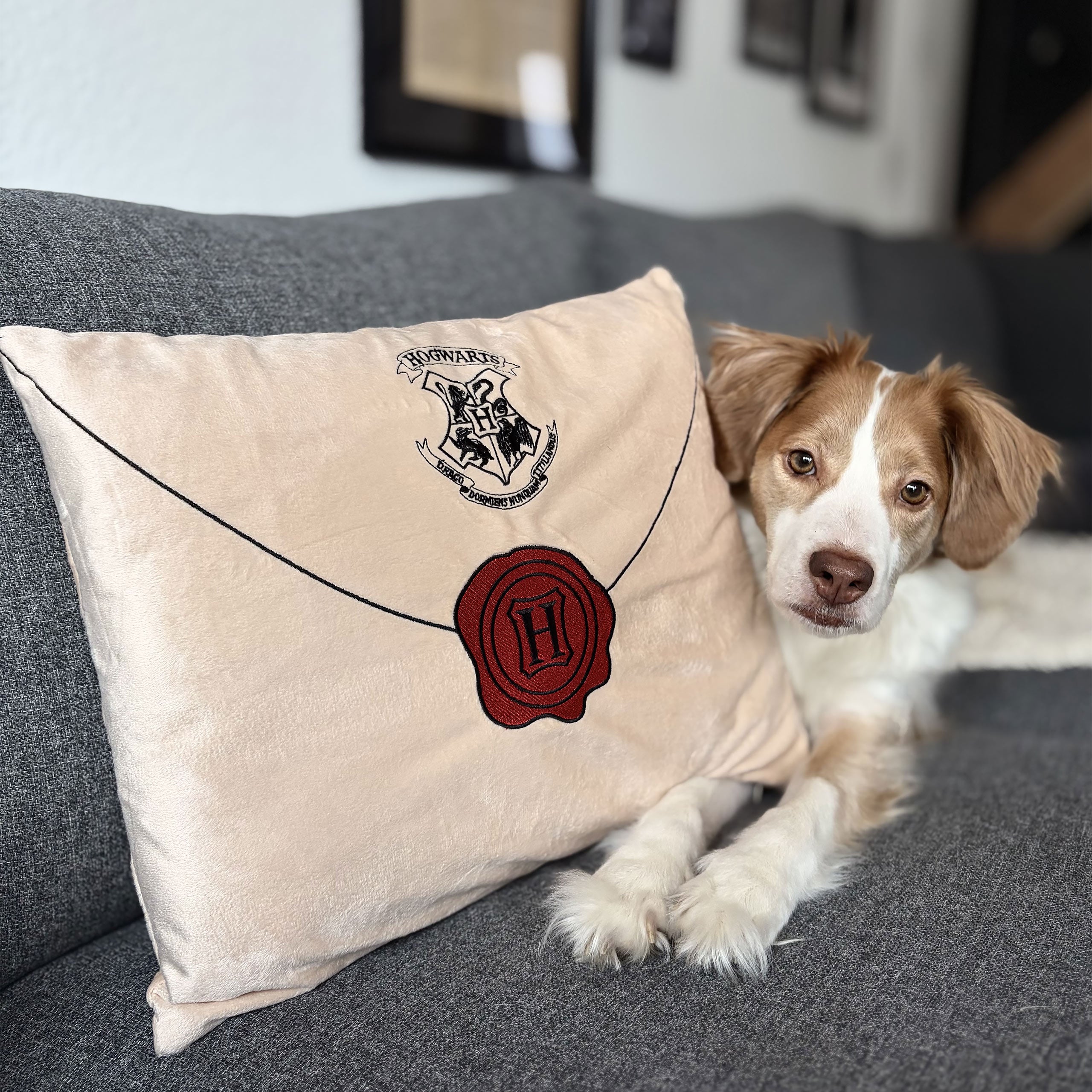 Imagen del producto Harry Potter - Cojín Carta de Hogwarts