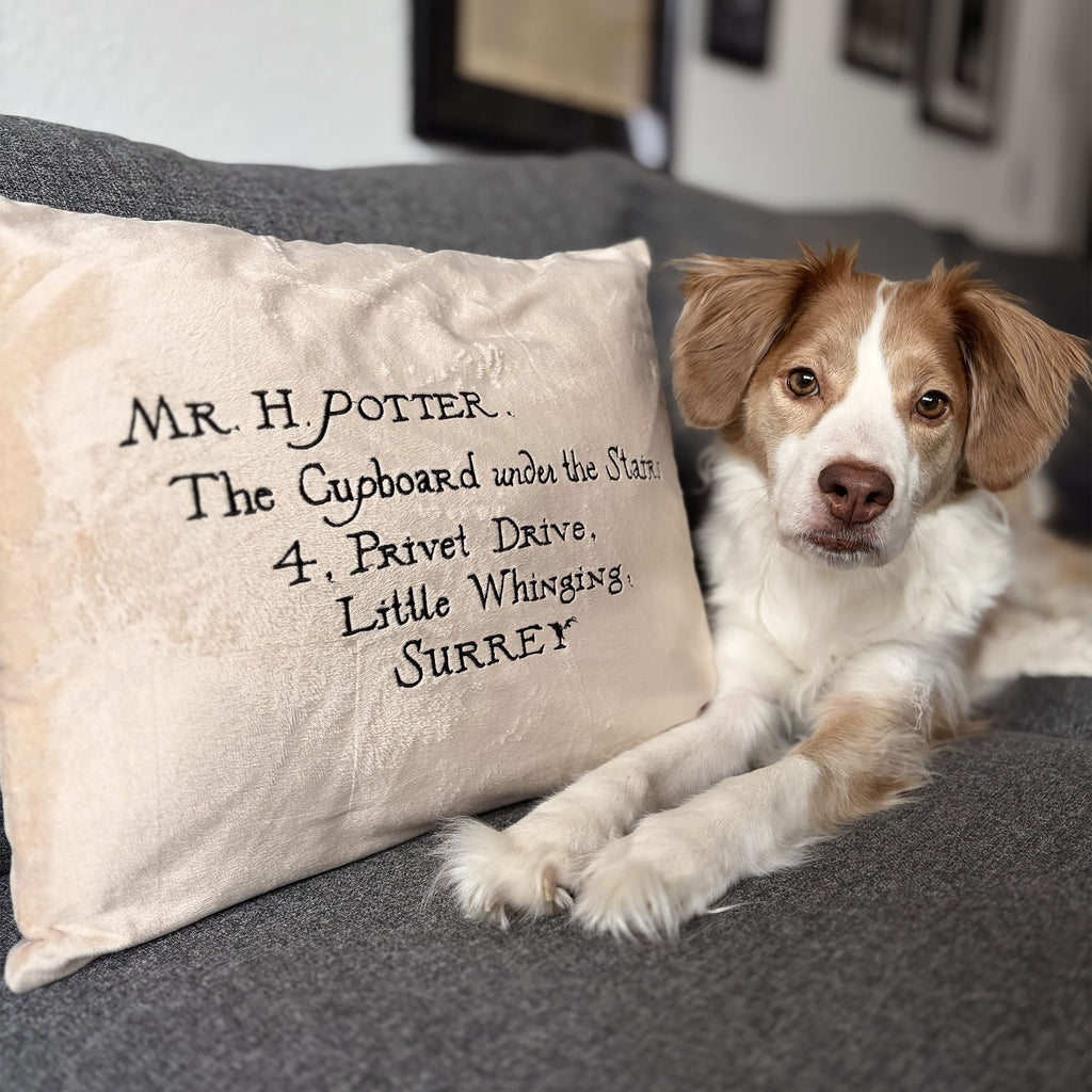 Imagen del producto Harry Potter - Cojín Carta de Hogwarts