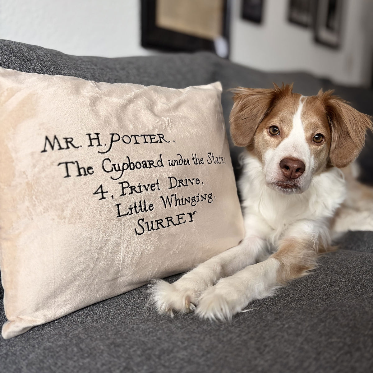 Imagen del producto Harry Potter - Cojín Carta de Hogwarts