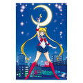 Product image Sailor Moon - Characters Maxi Poster