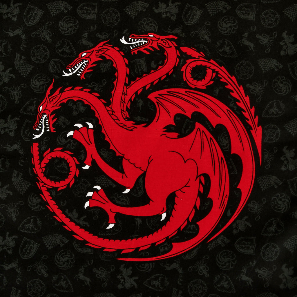 Imagen del producto Set de paños de cocina Stark y Targaryen - Juego de Tronos