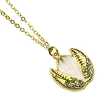 Imagen del producto Harry Potter - La Caja de Regalo del Huevo de Oro con Collar