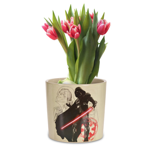 Imagen del producto Star Wars - Maceta Darth Vader