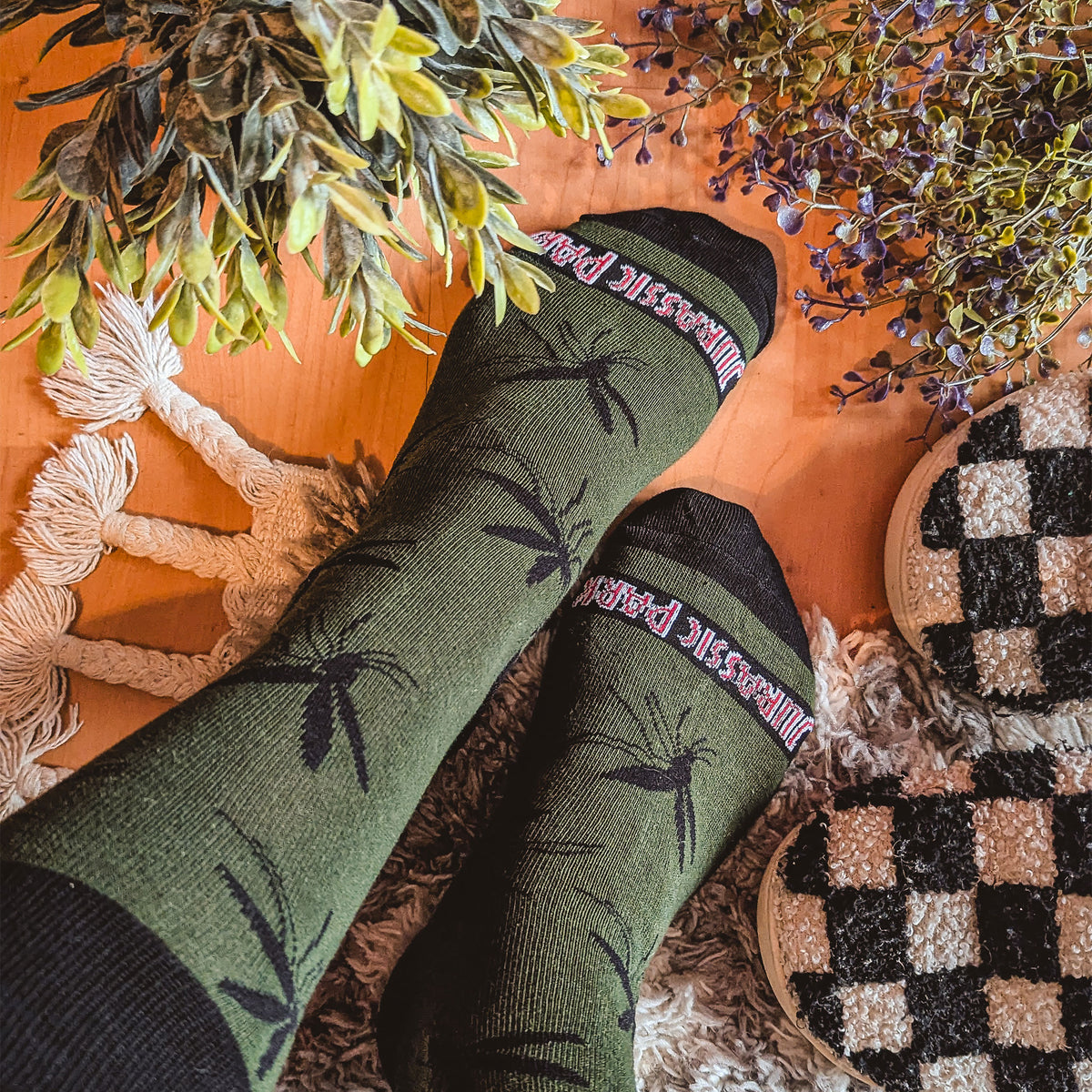 Imagen del producto Jurassic Park - Pack de 3 pares de calcetines