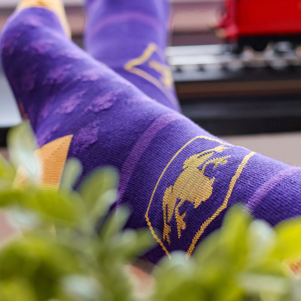 Imagen del producto Harry Potter - Set de 3 pares de calcetines en caja de Rana de Chocolate