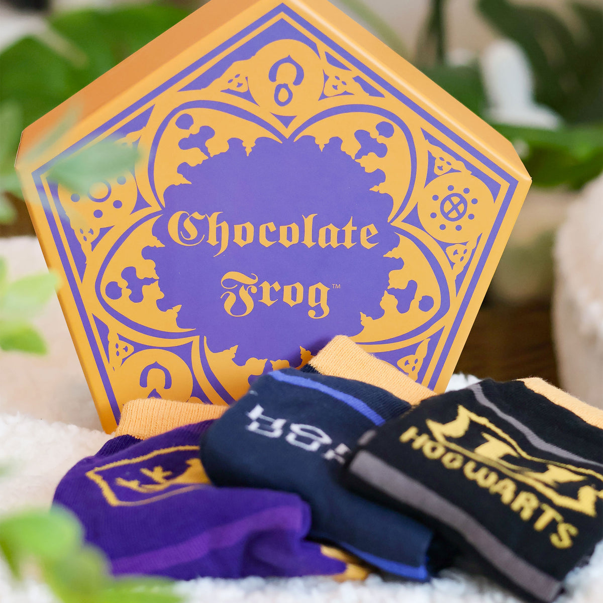 Imagen del producto Harry Potter - Set de 3 pares de calcetines en caja de Rana de Chocolate