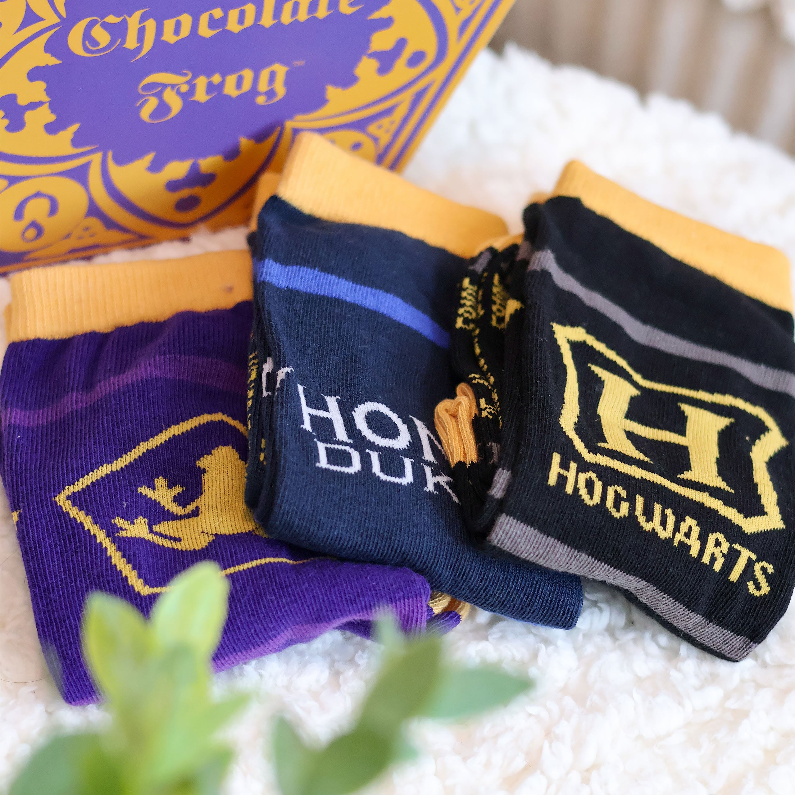 Imagen del producto Harry Potter - Set de 3 pares de calcetines en caja de Rana de Chocolate