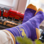 Imagen del producto Harry Potter - Set de 3 pares de calcetines en caja de Rana de Chocolate