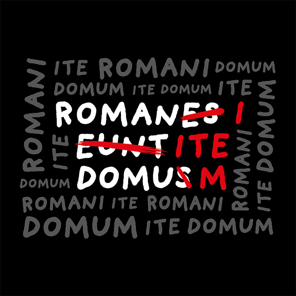 Imagen del producto Camiseta Romani Ite Domum para fans de Monty Python