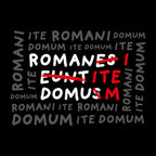Imagen del producto Camiseta Romani Ite Domum para fans de Monty Python