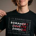 Imagen del producto Camiseta Romani Ite Domum para fans de Monty Python