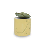 Product image Winnie the Pooh - Mini Flower Pot