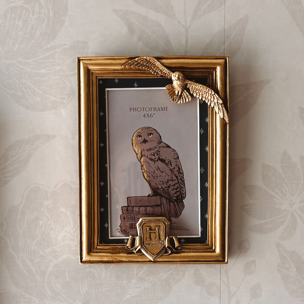 Product image Harry Potter - Hedwig Picture Frame