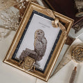 Product image Harry Potter - Hedwig Picture Frame