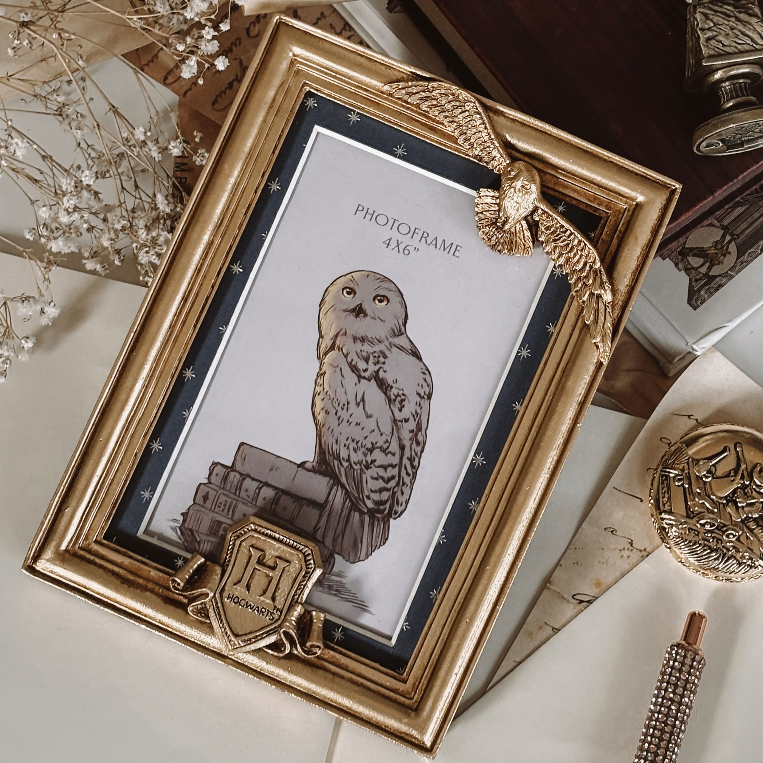 Product image Harry Potter - Hedwig Picture Frame