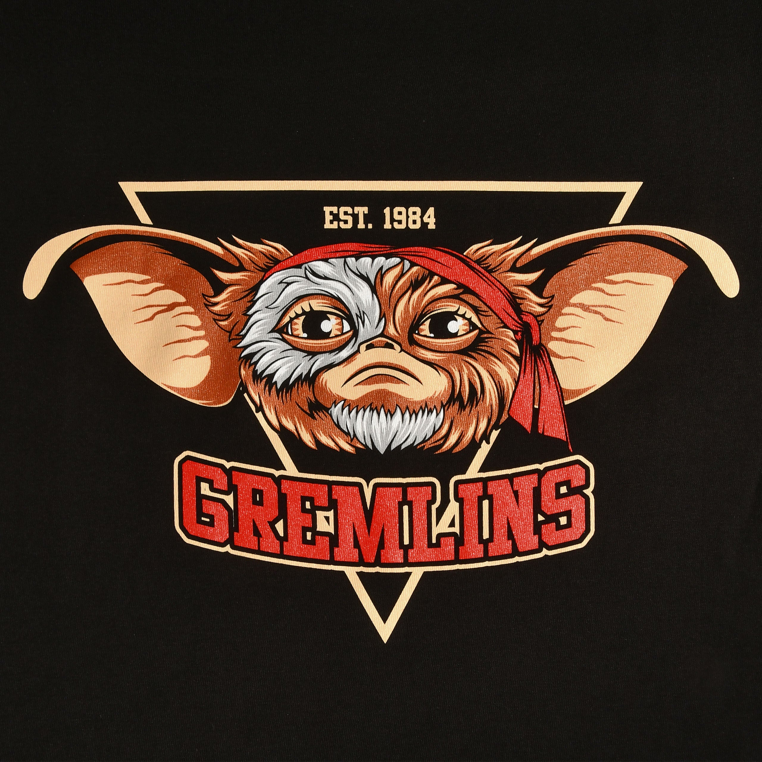Imagen del producto Camiseta negra Gremlins Est. 1984