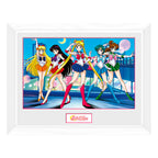 Product image Sailor Moon - Group Wall Picture