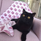 Product image Kiki’s Delivery Service - Jiji Silhouette Fleece Blanket with Teddy Fleece