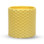 Imagen del producto Winnie Pooh - Maceta