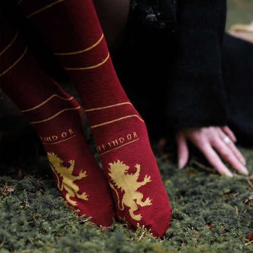 Imagen del producto Harry Potter - Calcetines por encima de la rodilla Gryffindor (pack de 2)