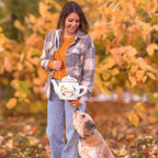 Imagen del producto Gilmore Girls - Bolso Bandolera Tetera Dragonfly Inn