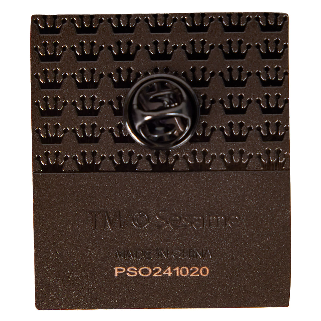 Imagen del producto Plaza Sésamo - Pin Misterioso