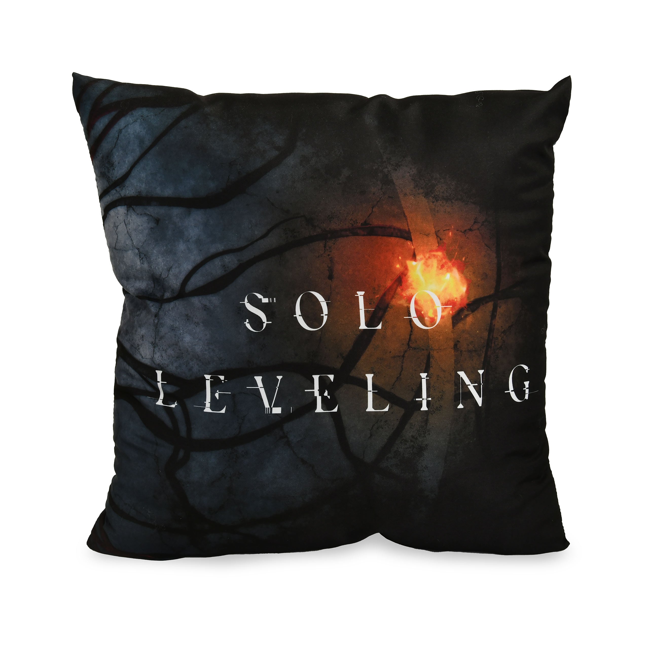 Imagen del producto Solo Leveling - Cojín