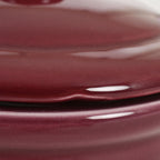 Imagen del producto Galleta de Gryffindor Hogwarts Alumni B-Ware - Harry Potter