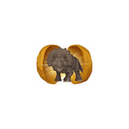 Imagen del producto Jurassic Park - Figura Misteriosa Funko Pocket Pop