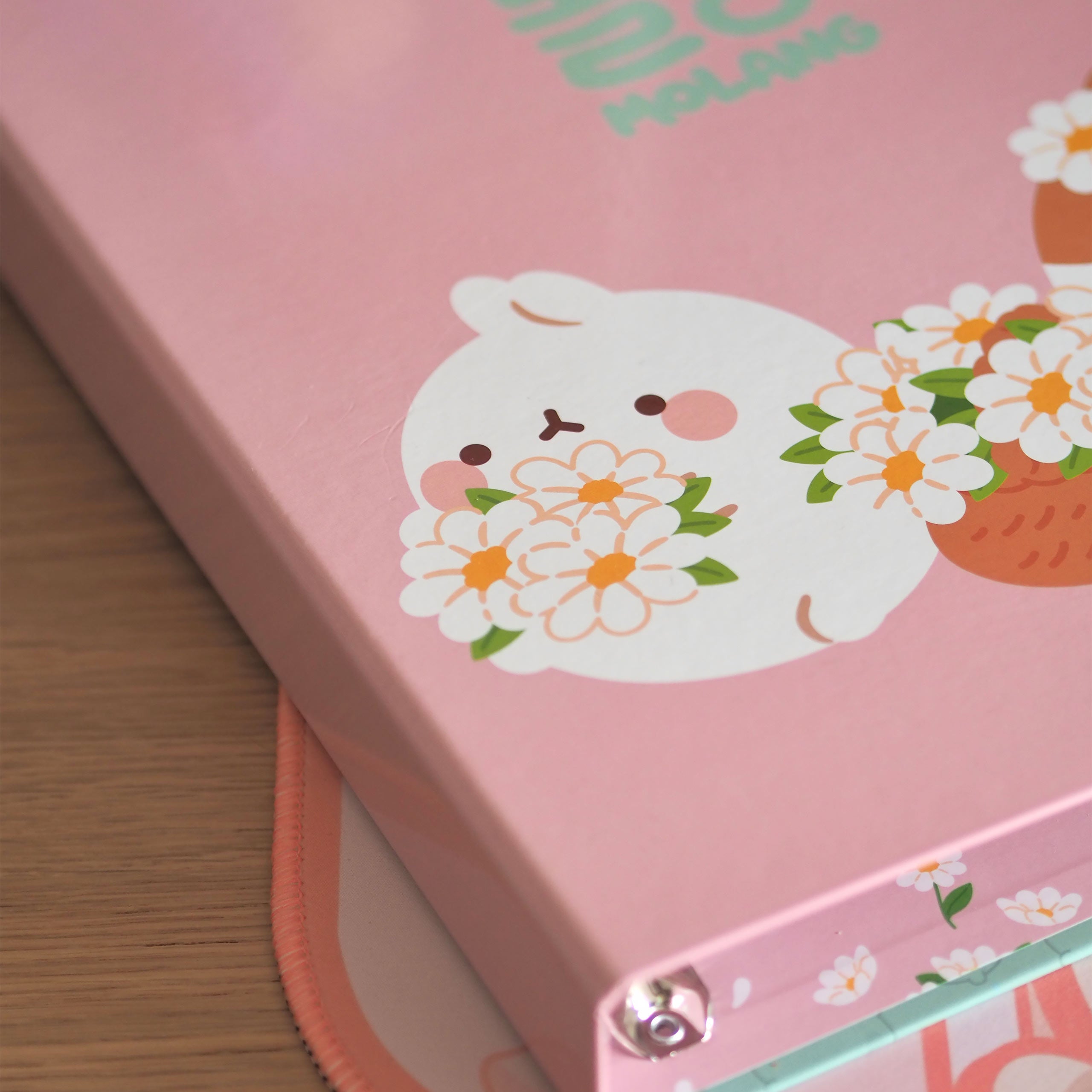 Imagen del producto Molang - Archivador Blossom