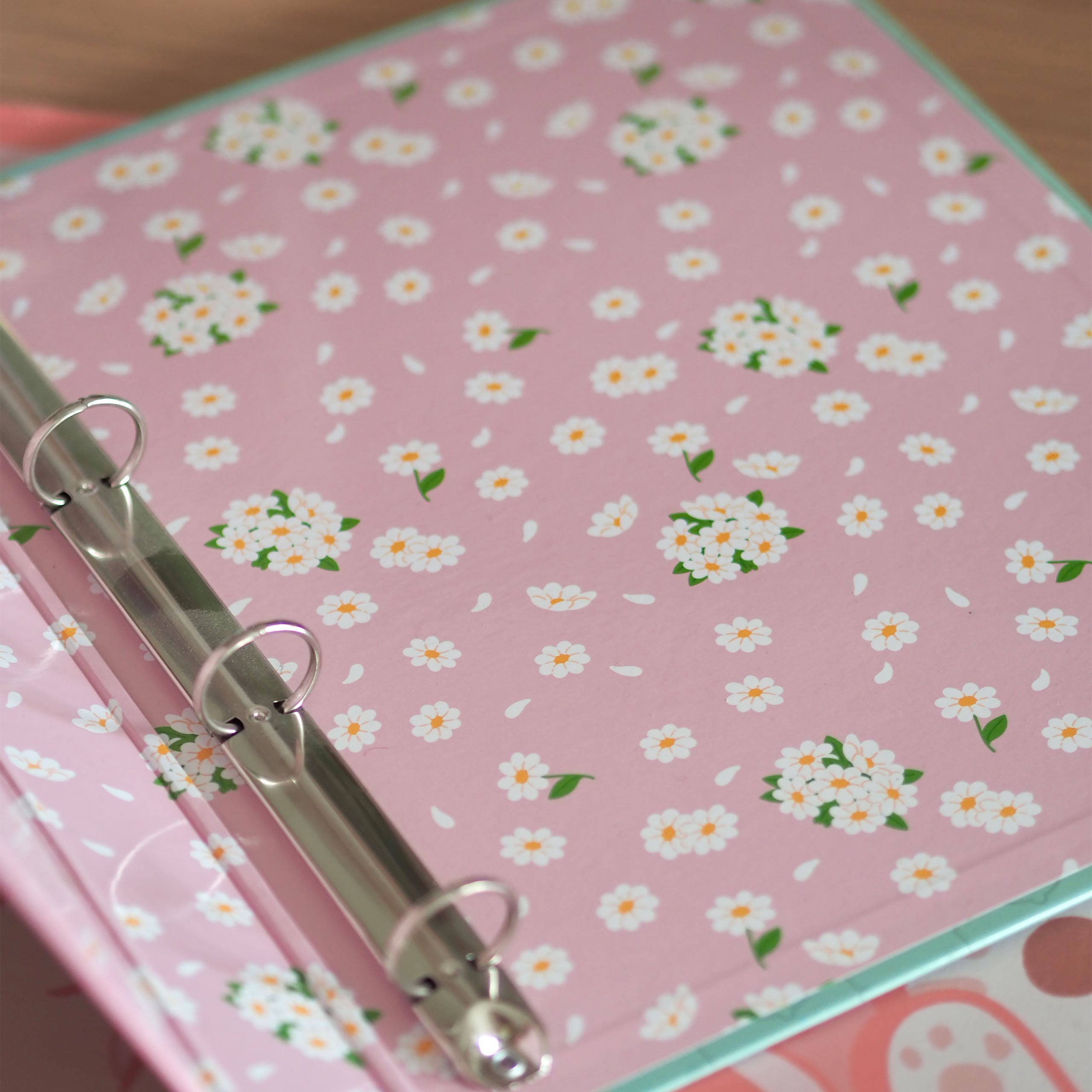 Imagen del producto Molang - Archivador Blossom