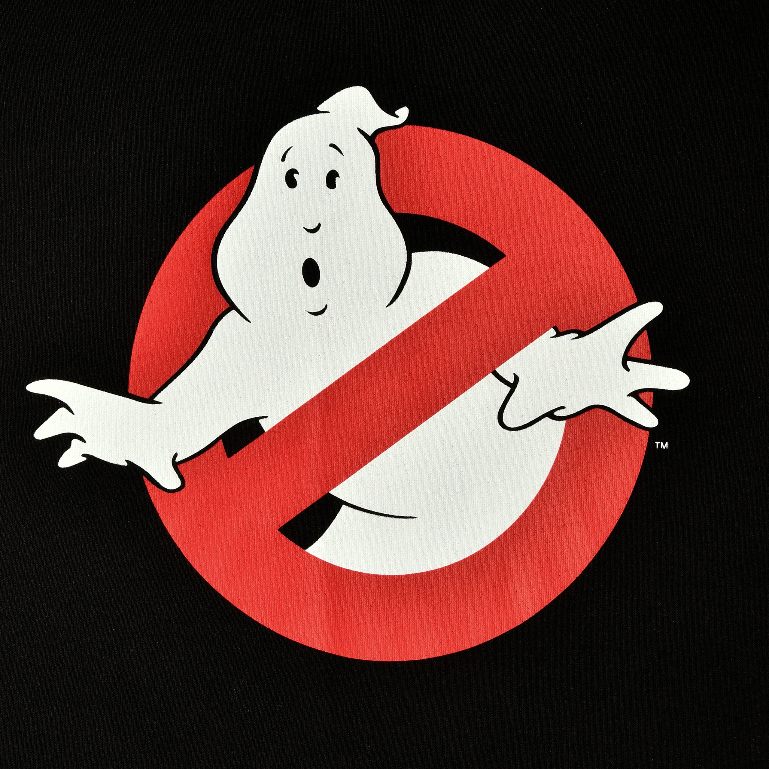 Imagen del producto Ghostbusters - Sudadera con Capucha 'Ain't Afraid of No Ghost'