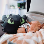 Imagen del producto Cómo entrenar a tu dragón - Cojín Desdentao