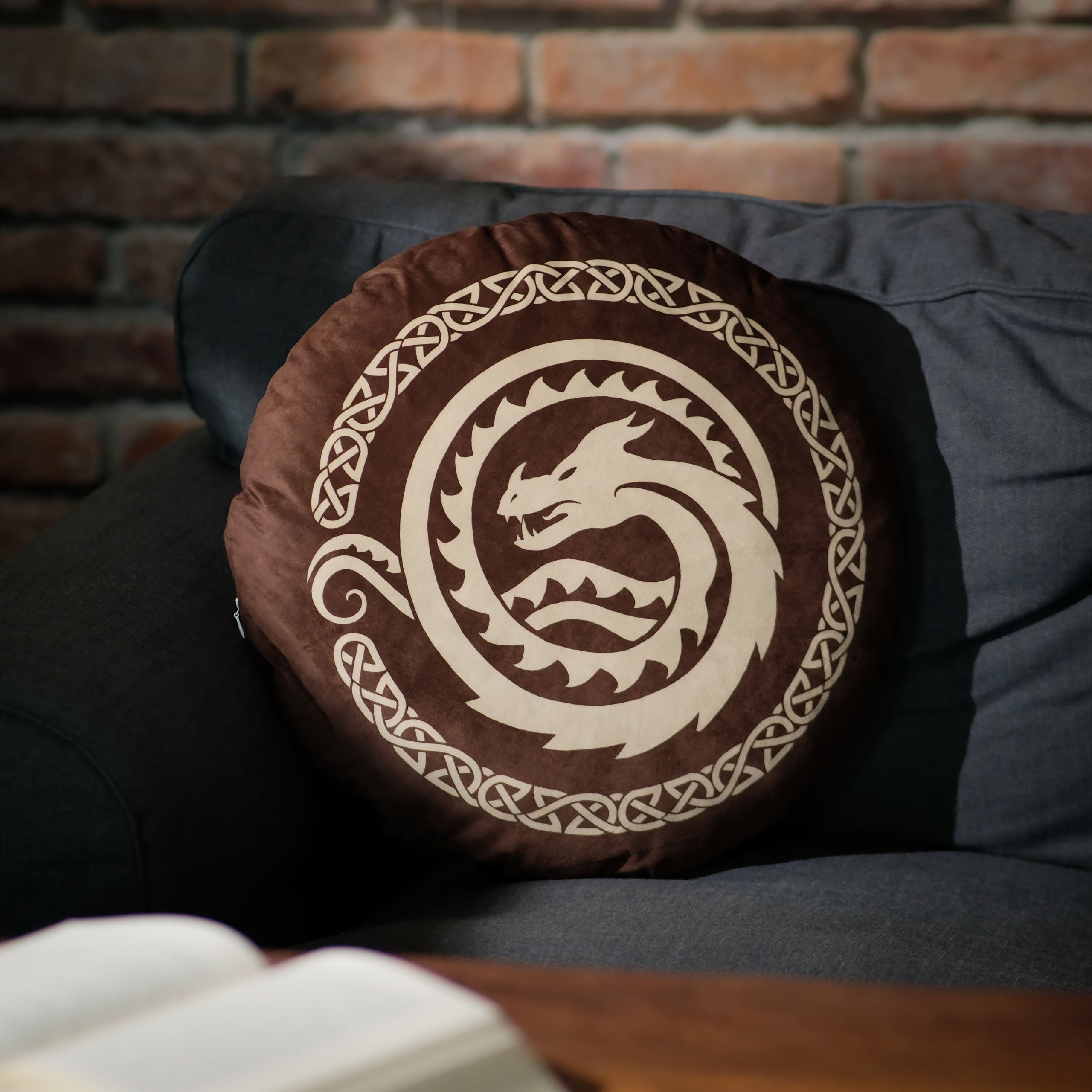 Imagen del producto Cómo entrenar a tu dragón - Cojín logo marrón