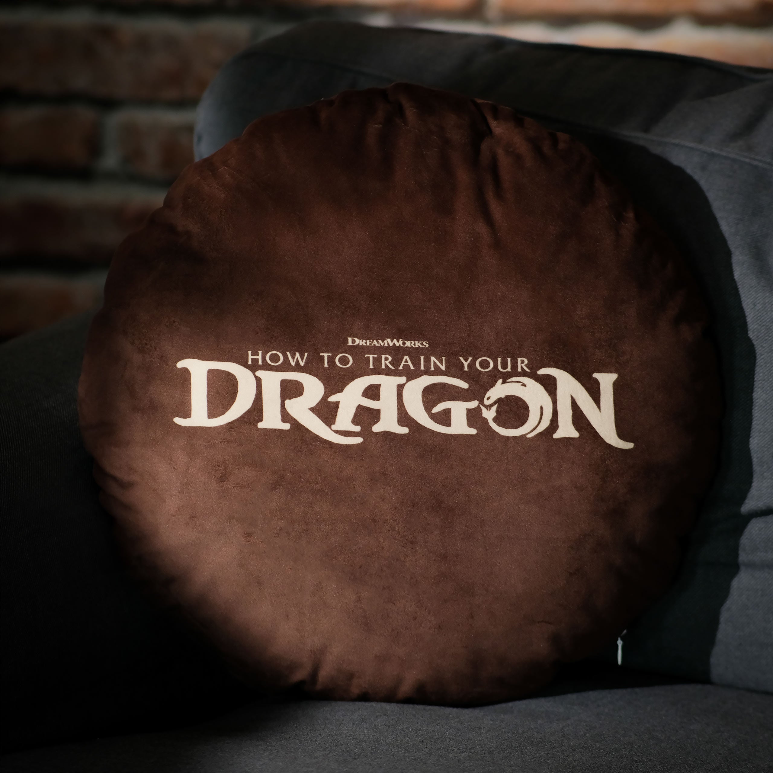 Imagen del producto Cómo entrenar a tu dragón - Cojín logo marrón