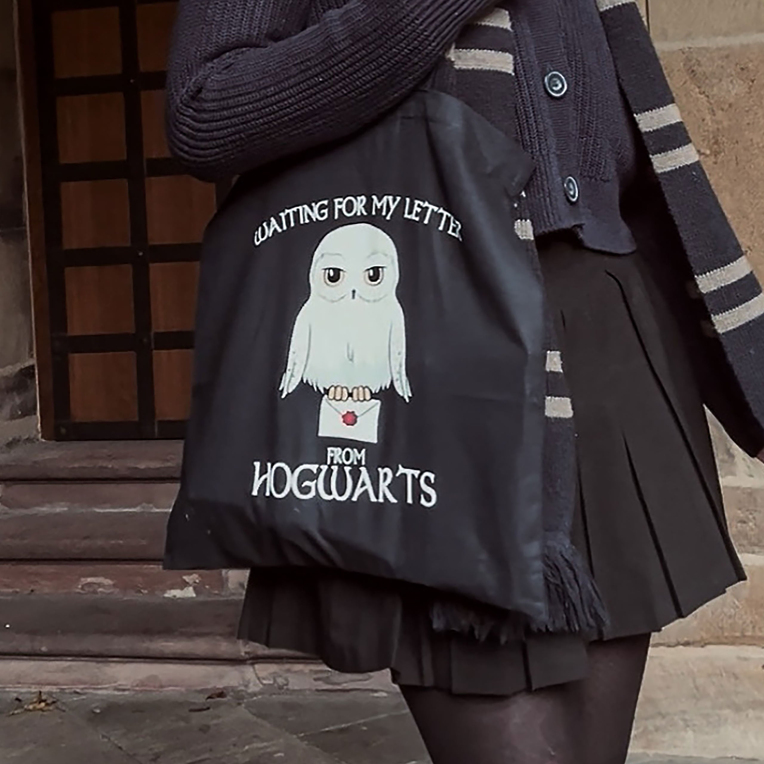 Imagen del producto Bolsa de tela Hedwig - Harry Potter