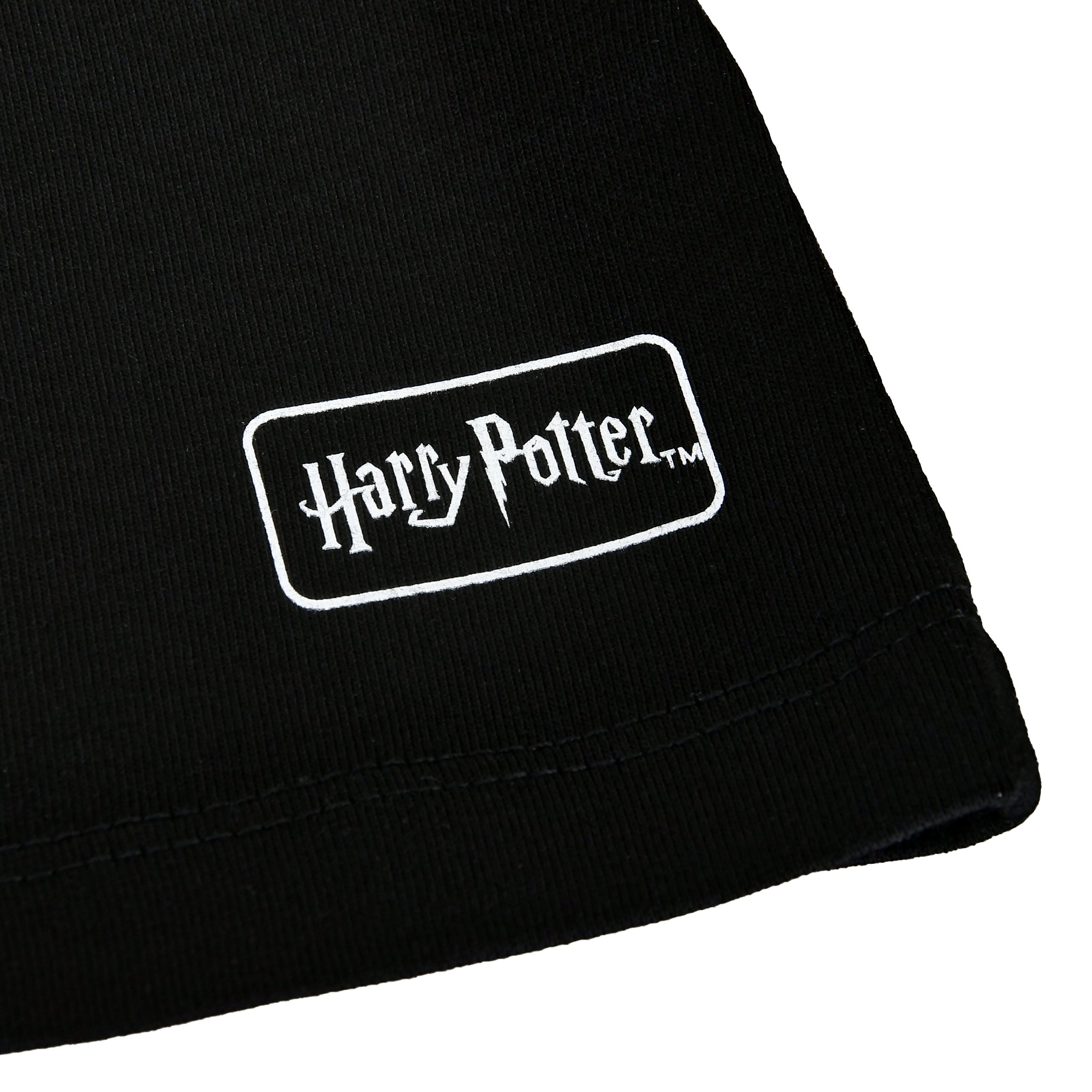 Product image Harry Potter - House of Black T-shirt black