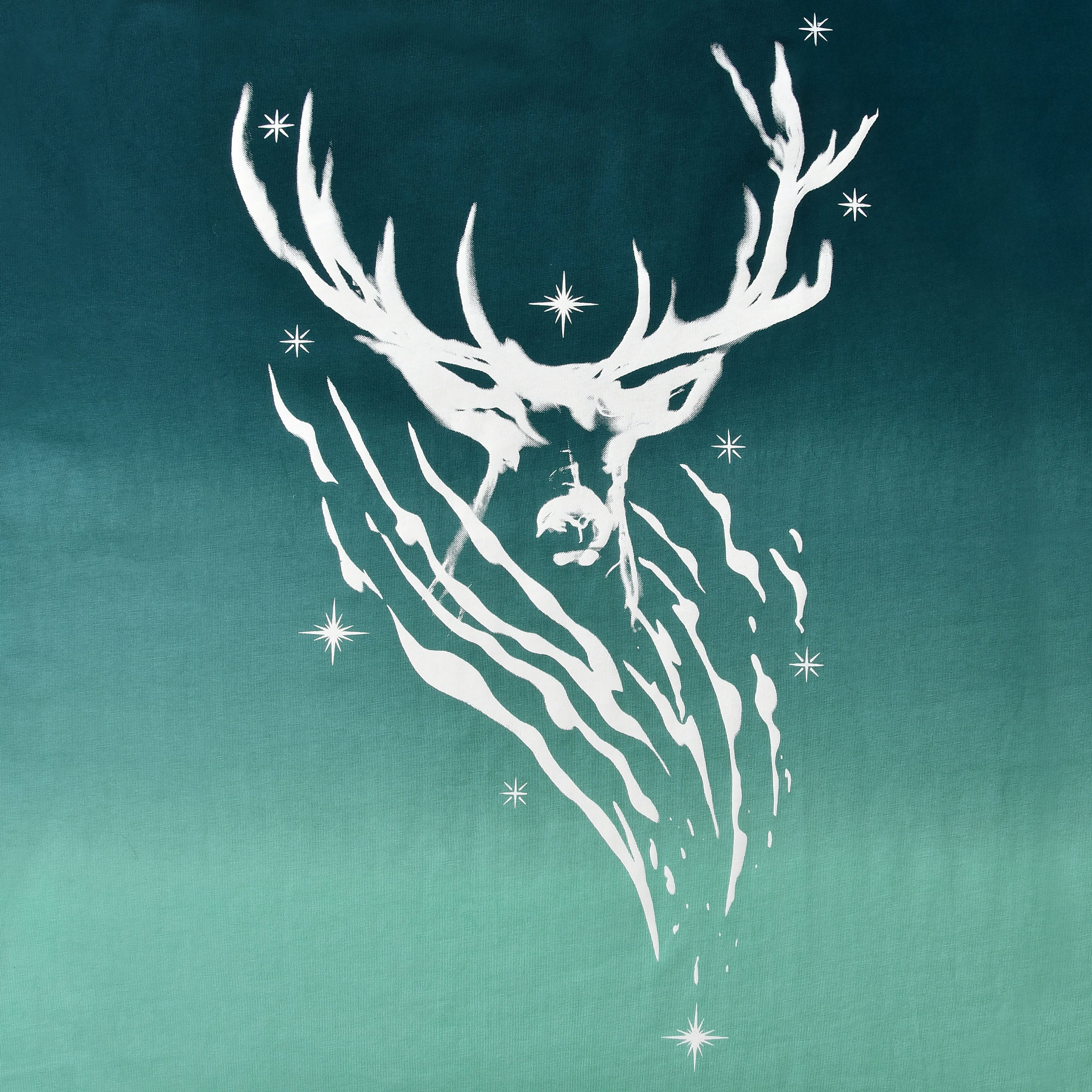 Imagen del producto Harry Potter - Camiseta Expecto Patronum