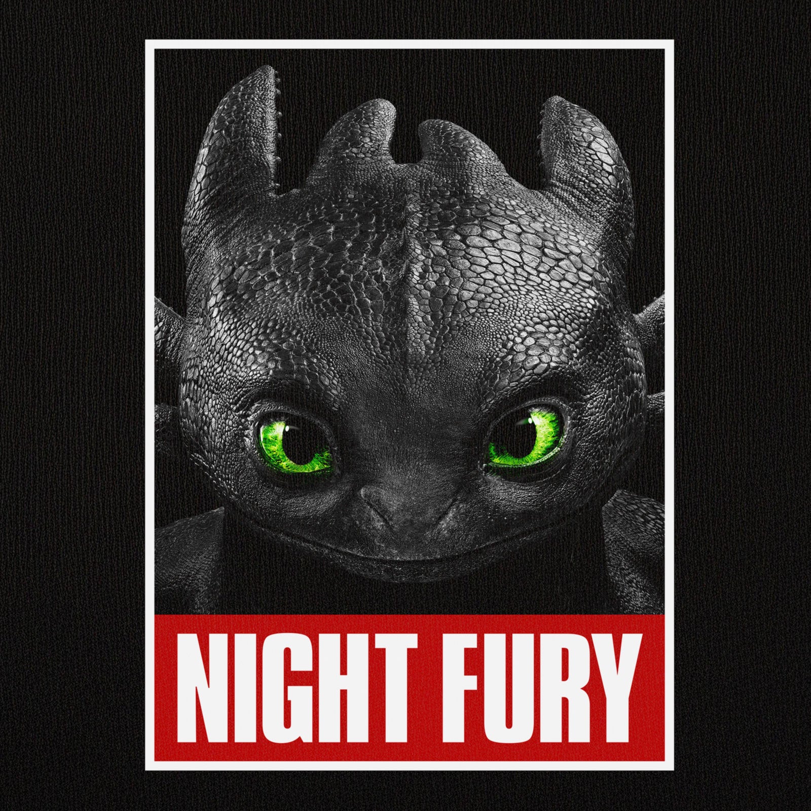 Imagen del producto Cómo Entrenar a tu Dragón - Camiseta Negra con Póster de Furia Nocturna