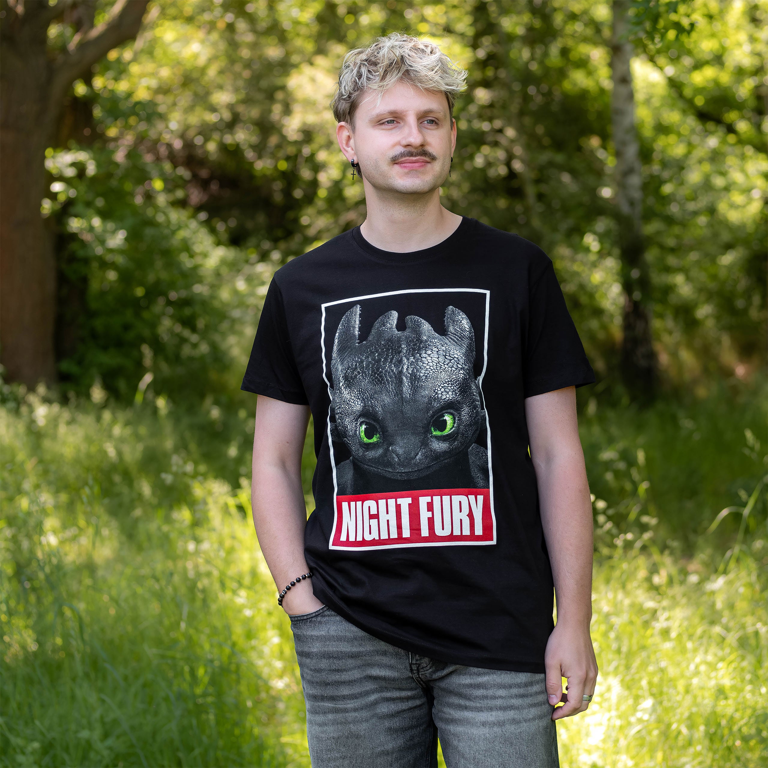Imagen del producto Cómo Entrenar a tu Dragón - Camiseta Negra con Póster de Furia Nocturna