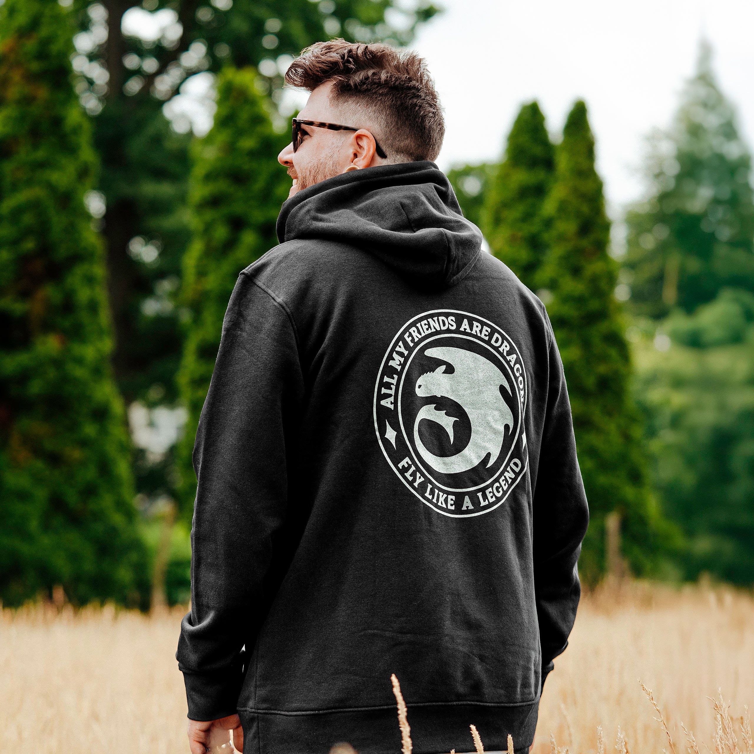 Imagen del producto Cómo entrenar a tu dragón - Sudadera Night Fury Legend negra
