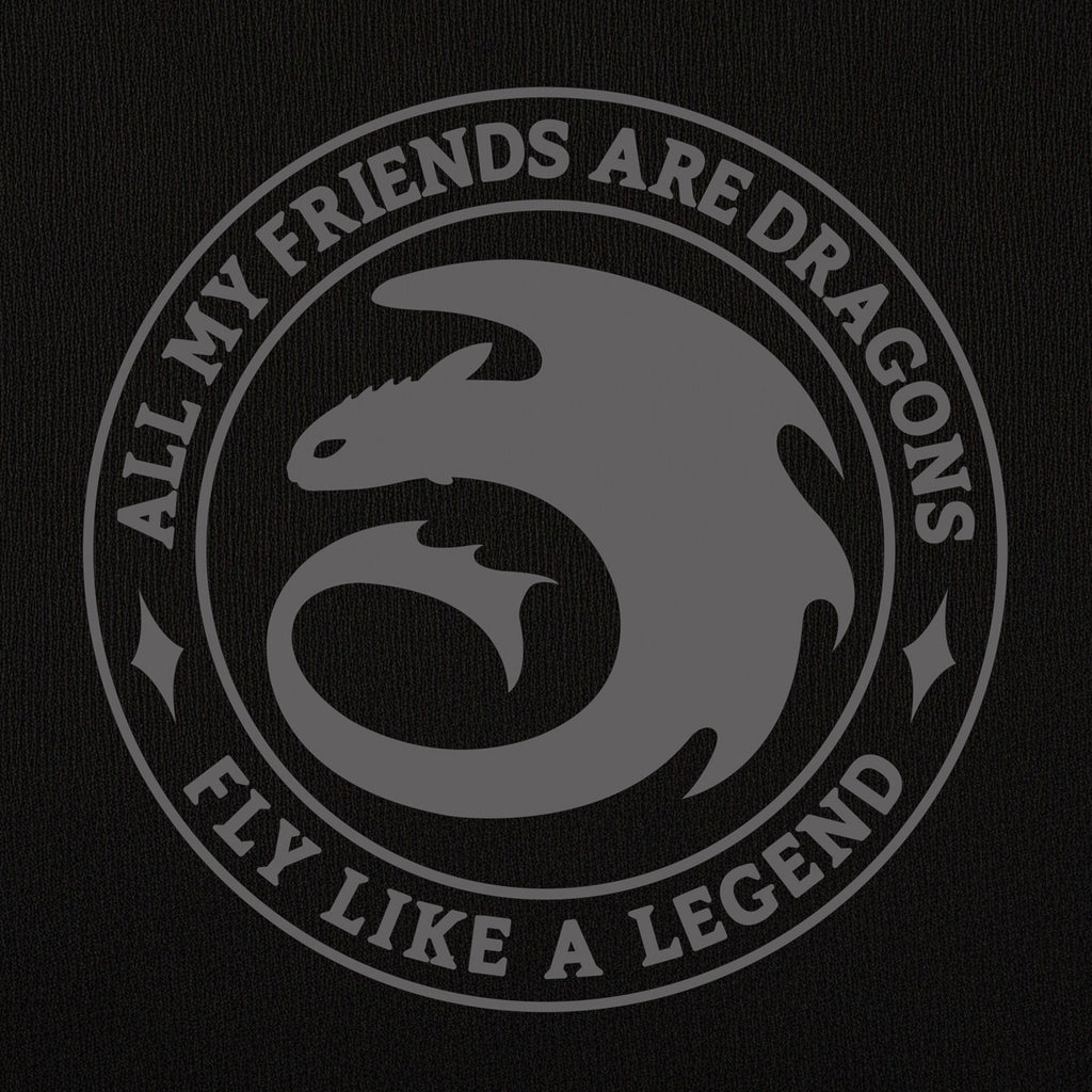 Imagen del producto Cómo entrenar a tu dragón - Sudadera Night Fury Legend negra