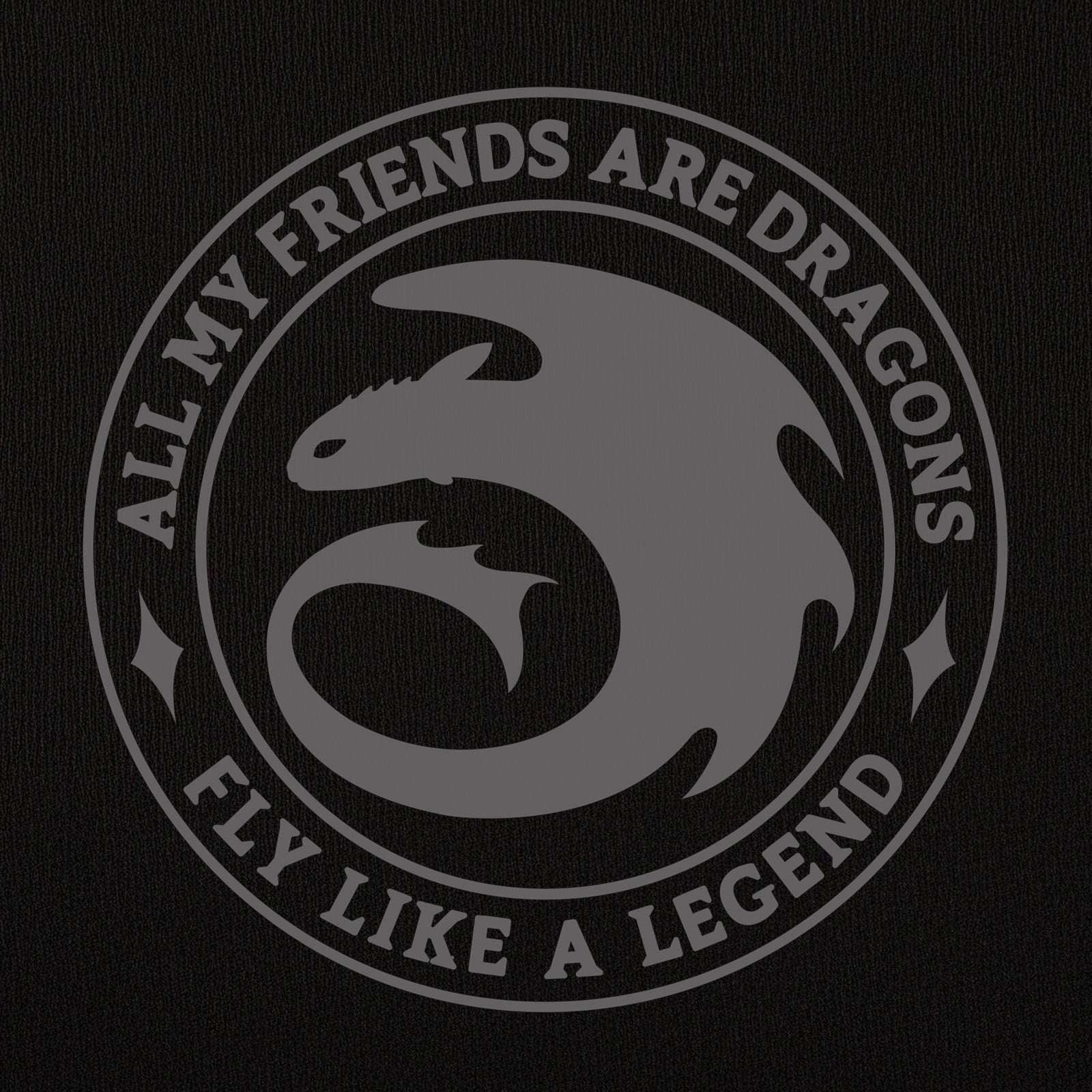 Imagen del producto Cómo entrenar a tu dragón - Sudadera Night Fury Legend negra