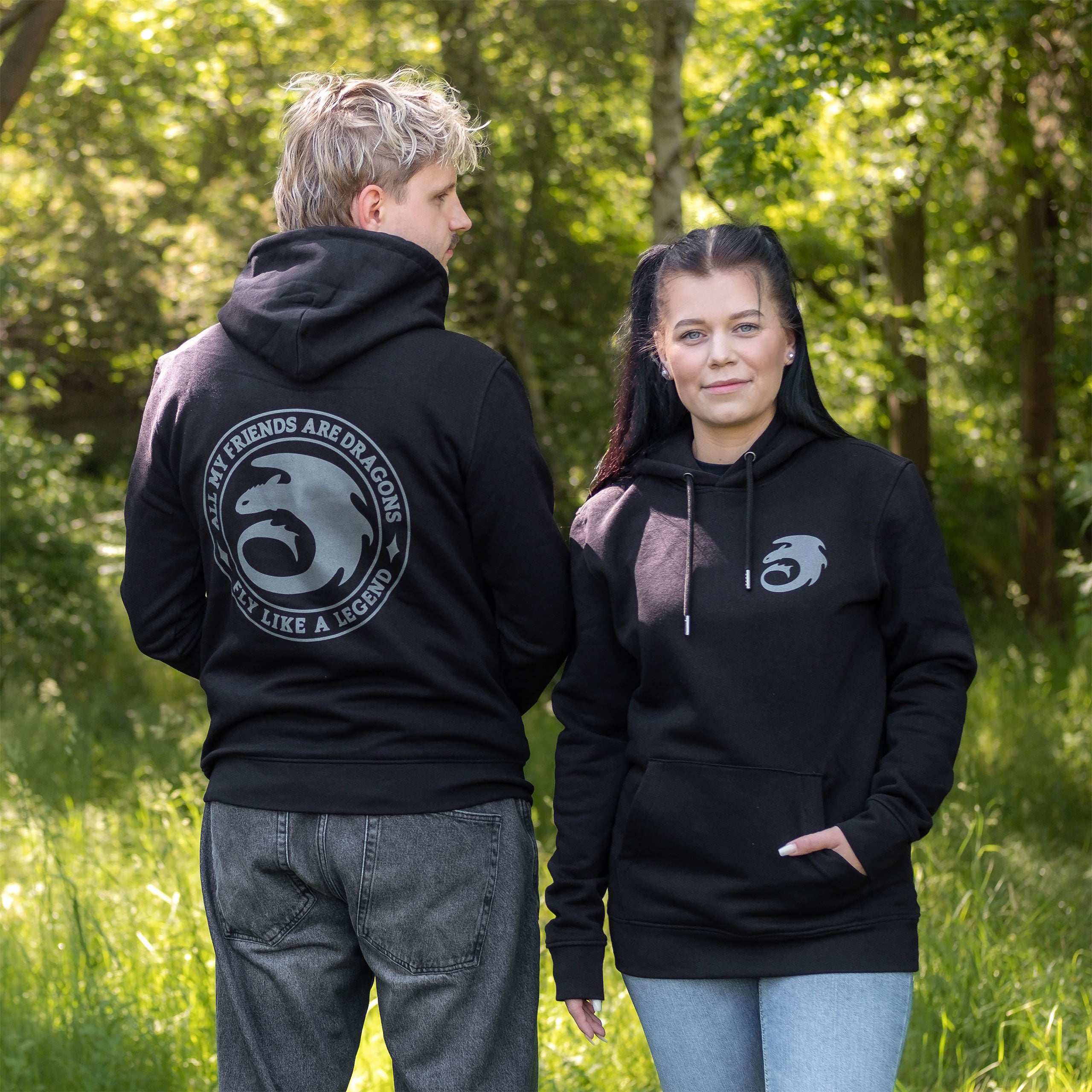 Imagen del producto Cómo entrenar a tu dragón - Sudadera Night Fury Legend negra