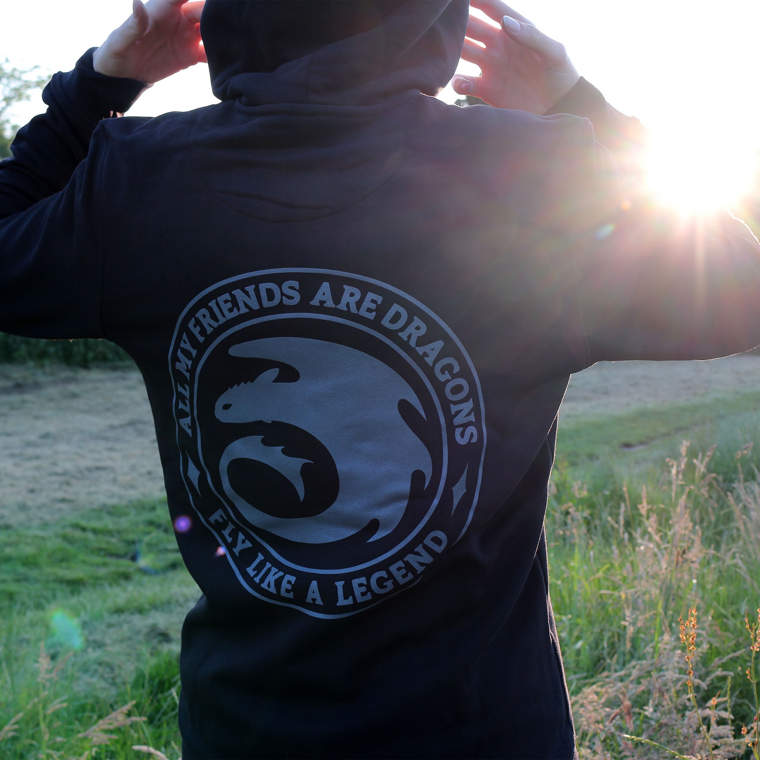 Imagen del producto Cómo entrenar a tu dragón - Sudadera Night Fury Legend negra